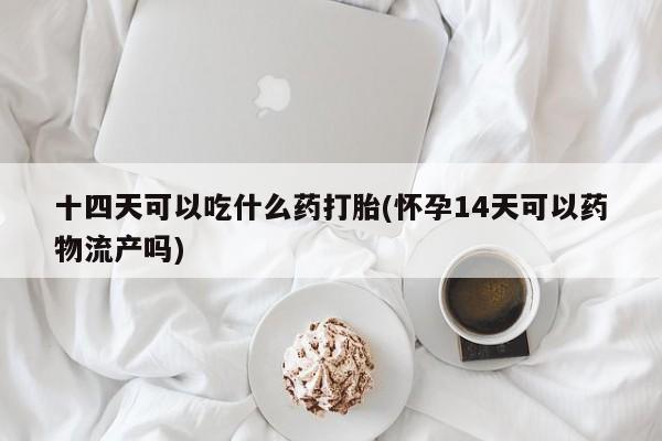 米非司酮片打胎药网店十四天可以吃什么药打胎(怀孕14天可以药物流产吗)